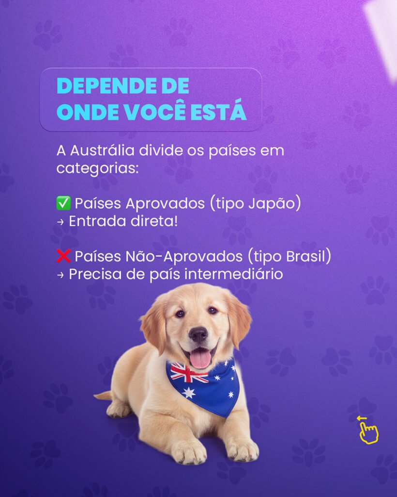 Como Levar Seu Pet para a Austrália: Guia Completo